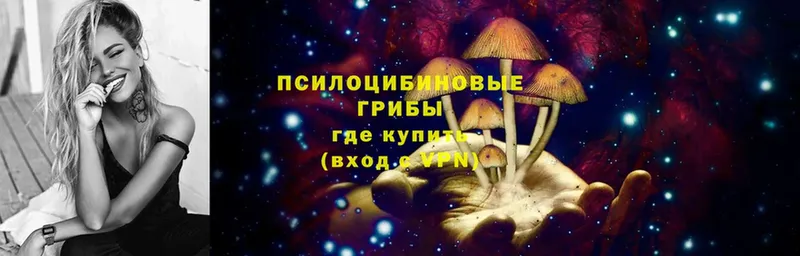 Псилоцибиновые грибы Magic Shrooms  где купить наркоту  Яхрома 